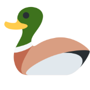 Mr. duck in the gragen